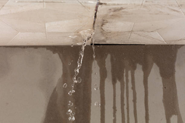 Professional Structural Drying technician working in Junction City, KY